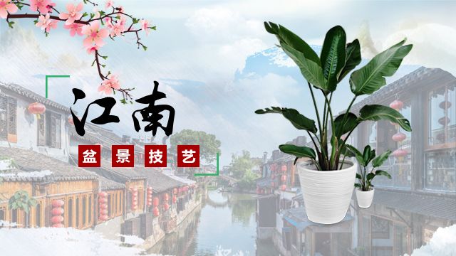 课程名称